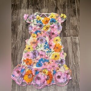 Giselle Embroidered Dress by Girls size 7